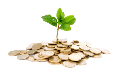 Grow your money with AllowanceTree.com